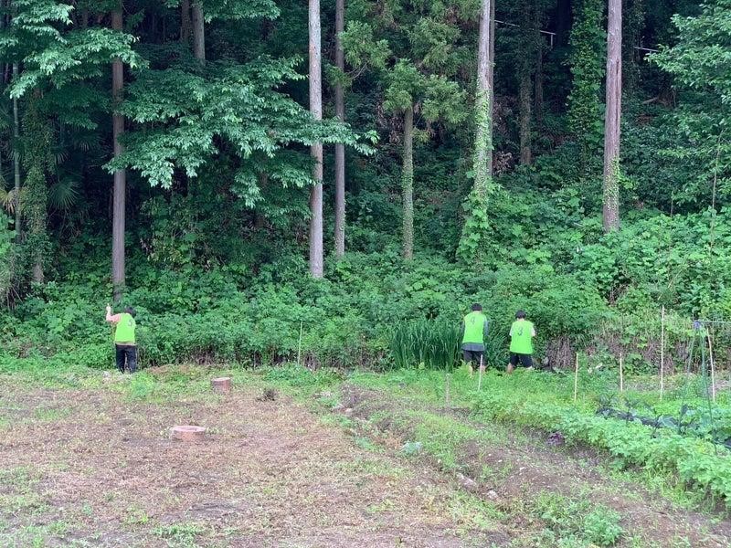 田んぼの水路整備