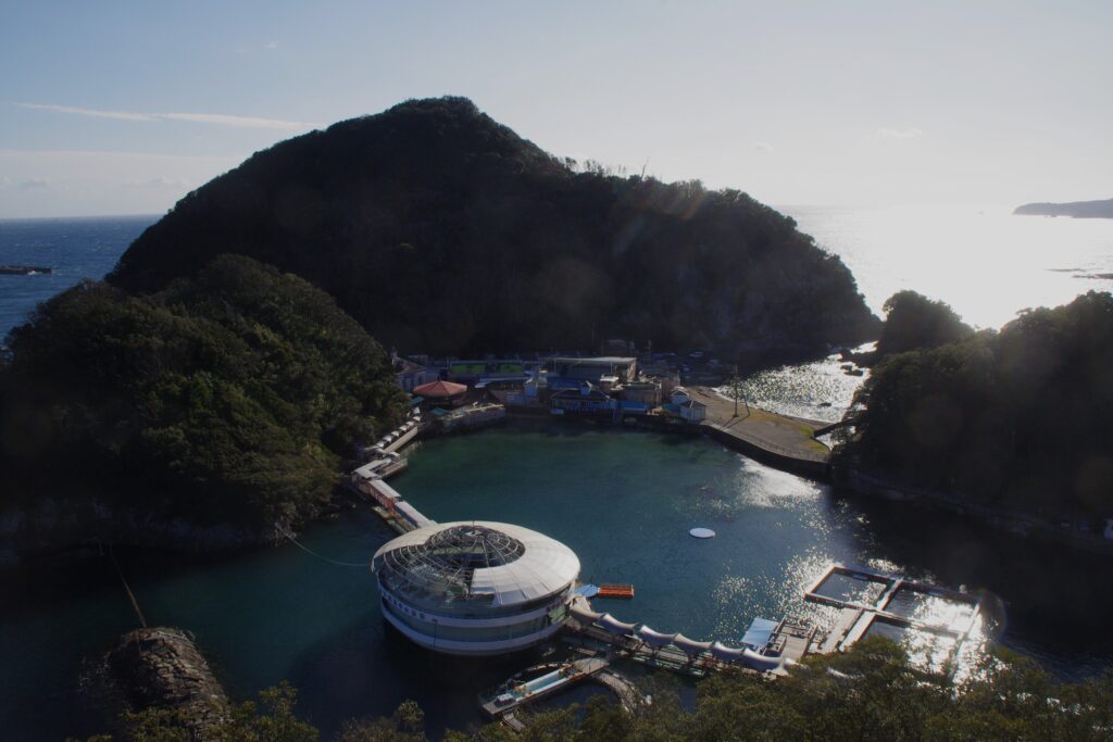 あいまいな旅行記　下田温泉から熱川温泉へ　展望台から望む下田海中水族館
