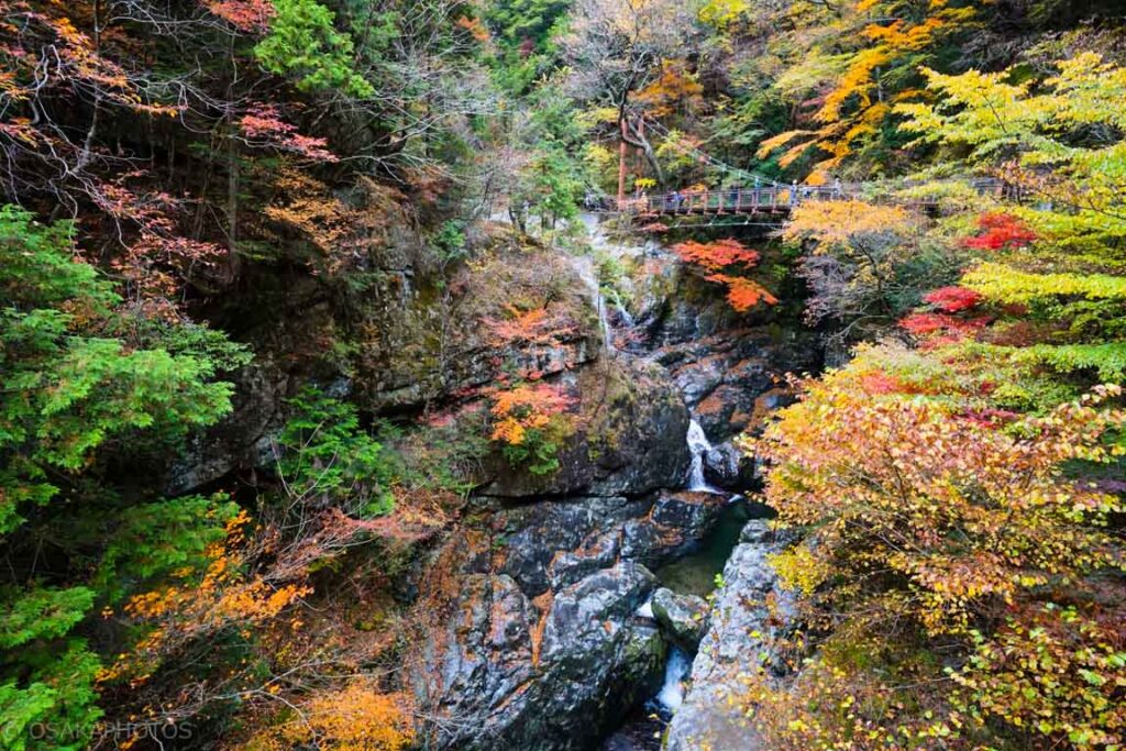 紅葉のみたらい渓谷