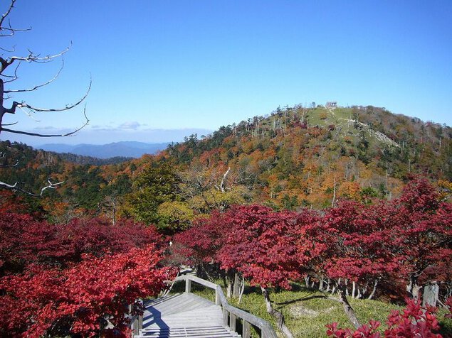 紅葉の大台ケ原