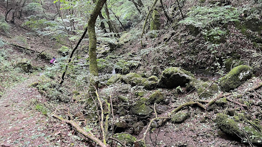 江戸時代の山伏の修行場であったロックガーデン