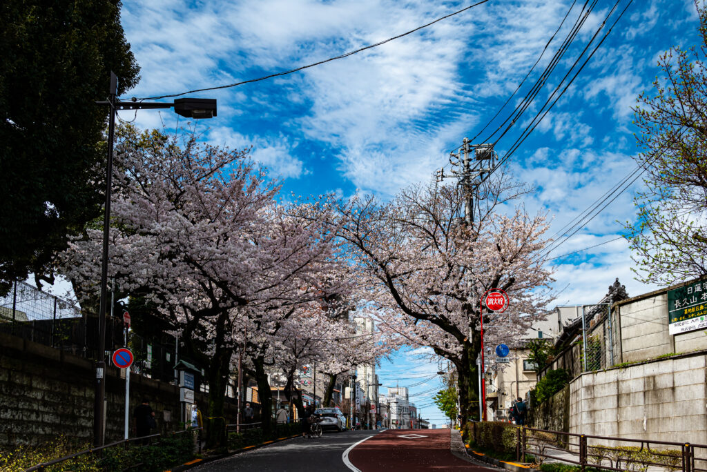 日暮里・御殿坂