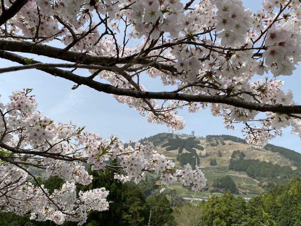 桜の咲く里山も素晴らしいです