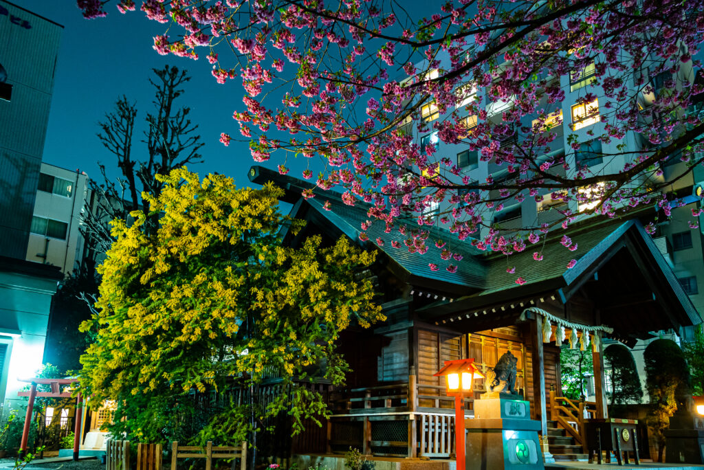 蔵前神社の夜の姿