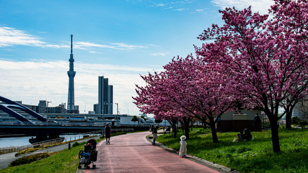 未来都市にも見える素敵な姿