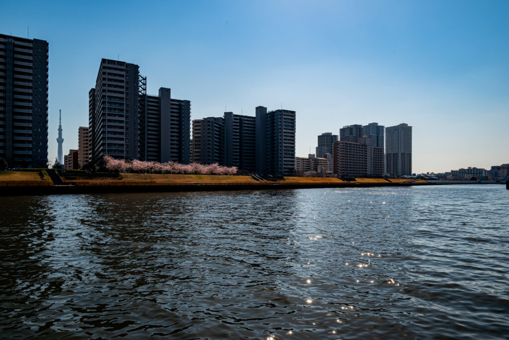 汐入地区の高層マンションとスカイツリー