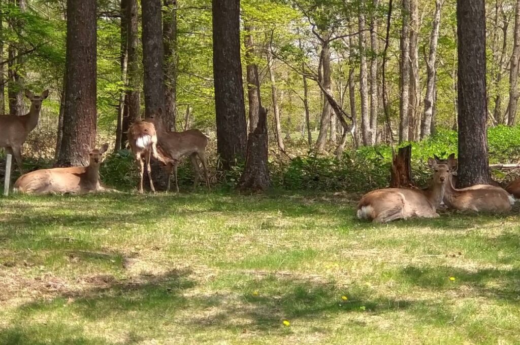 ひがし北海道の風景