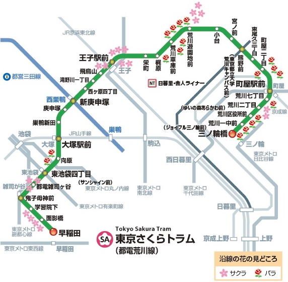 都電荒川線の路線図（桜とバラの名所もマーキング）