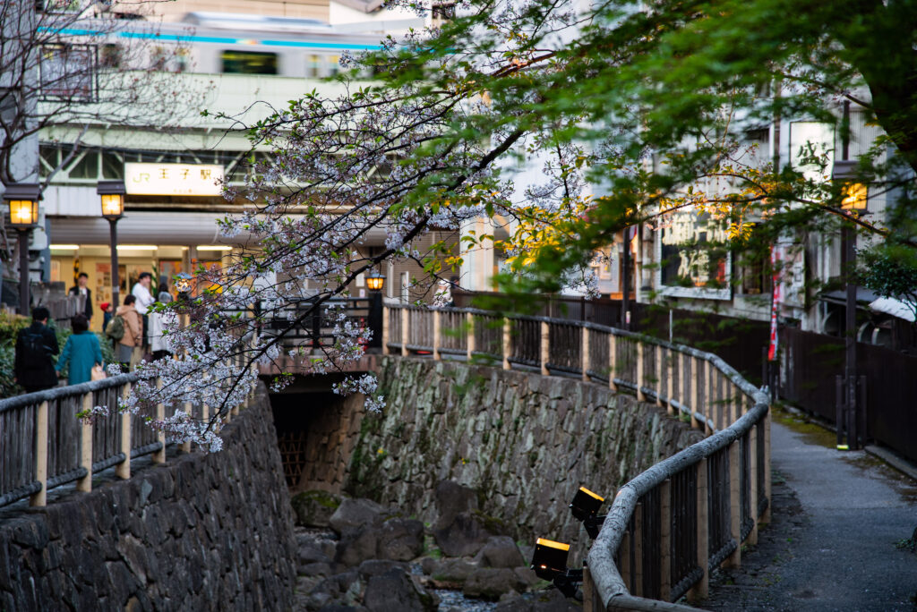 音無川親水公園