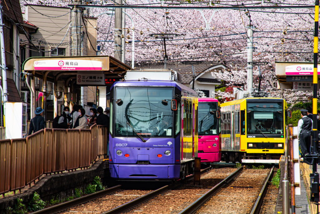 電車も花見で渋滞中（飛鳥山）