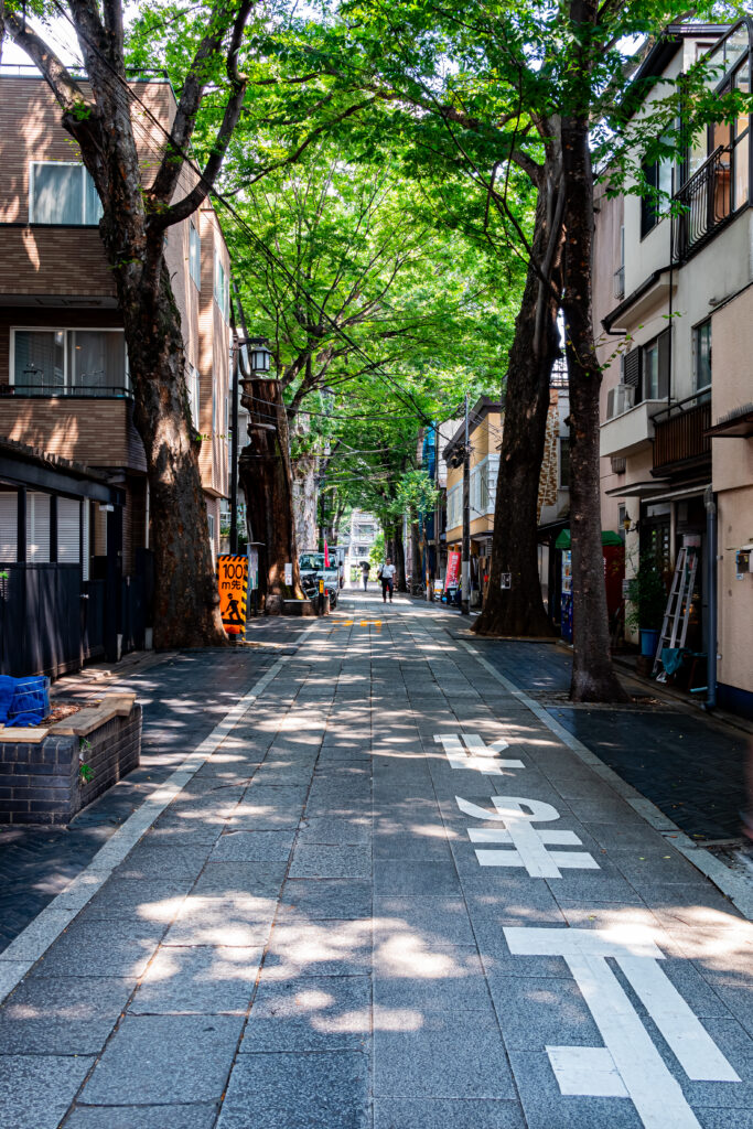 欅並木の石畳の参道