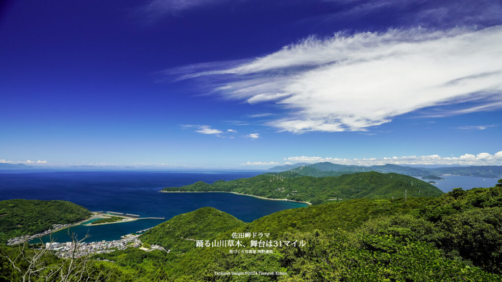 ③夏の権現山一望