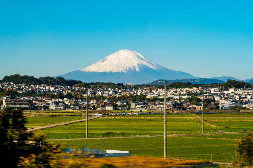 「カラフルな一戸建てが目印」～丘の斜面に並ぶ平塚日向岡のビバリーヒルズ