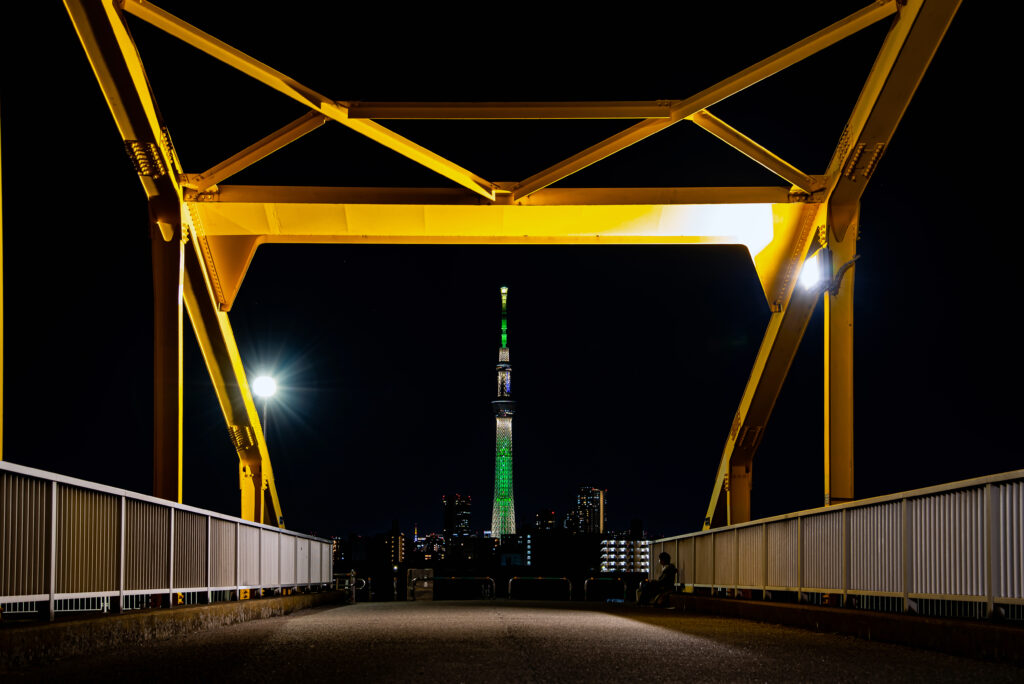 スカイツリーの後方には、微かに東京タワーも