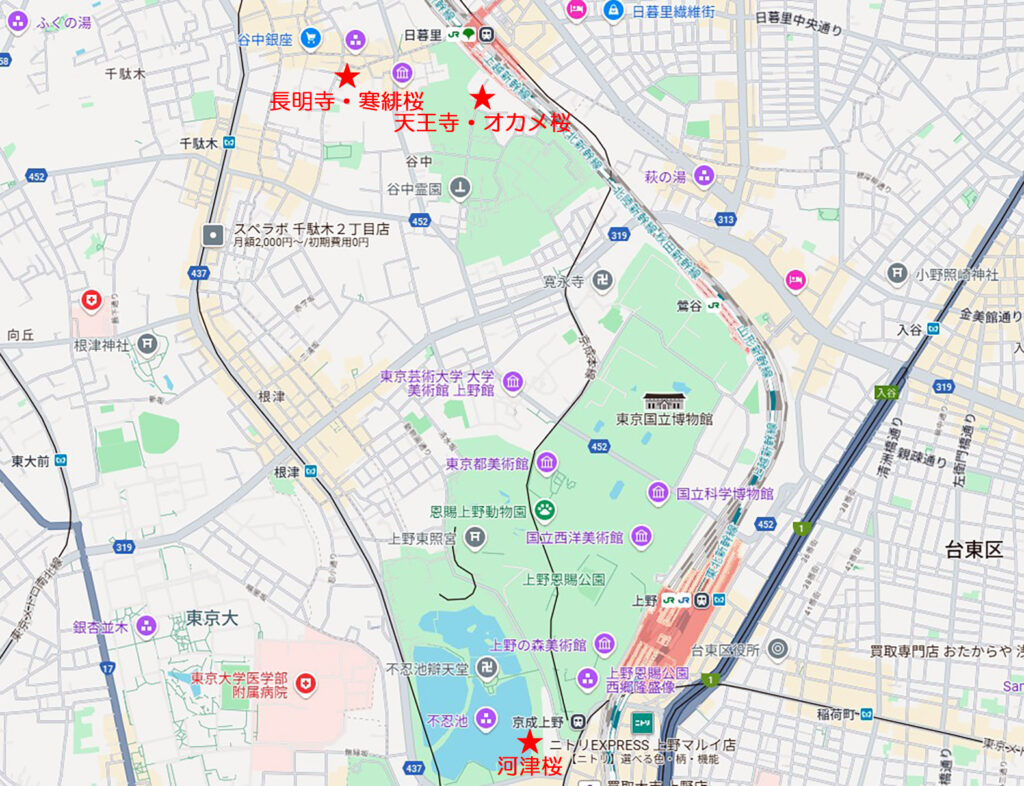 上野谷中「早咲き桜」マップ