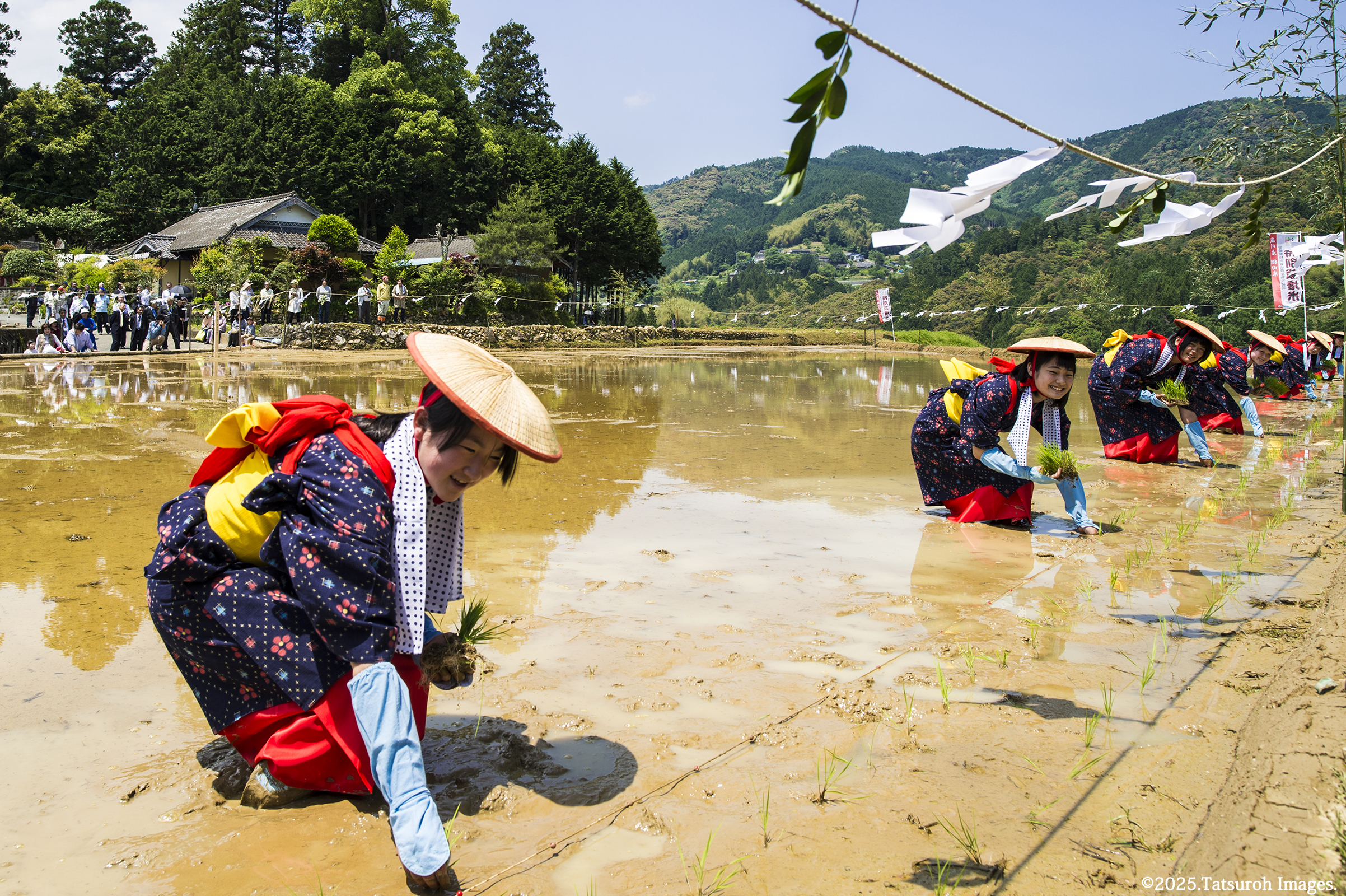 「御田植え祭り」2016年5月14日撮影