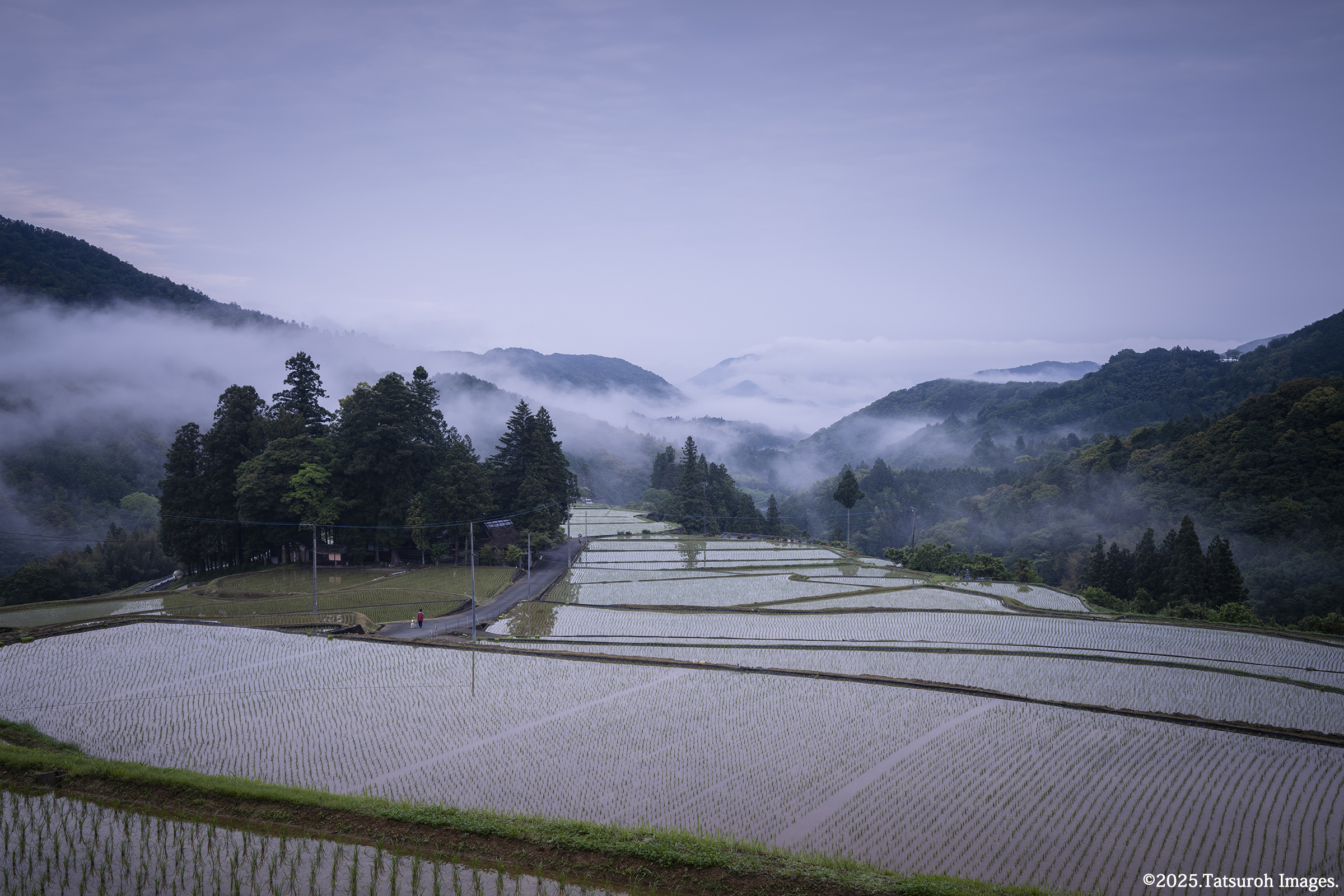 春の朝霧が下って行く頃に日の出を迎える