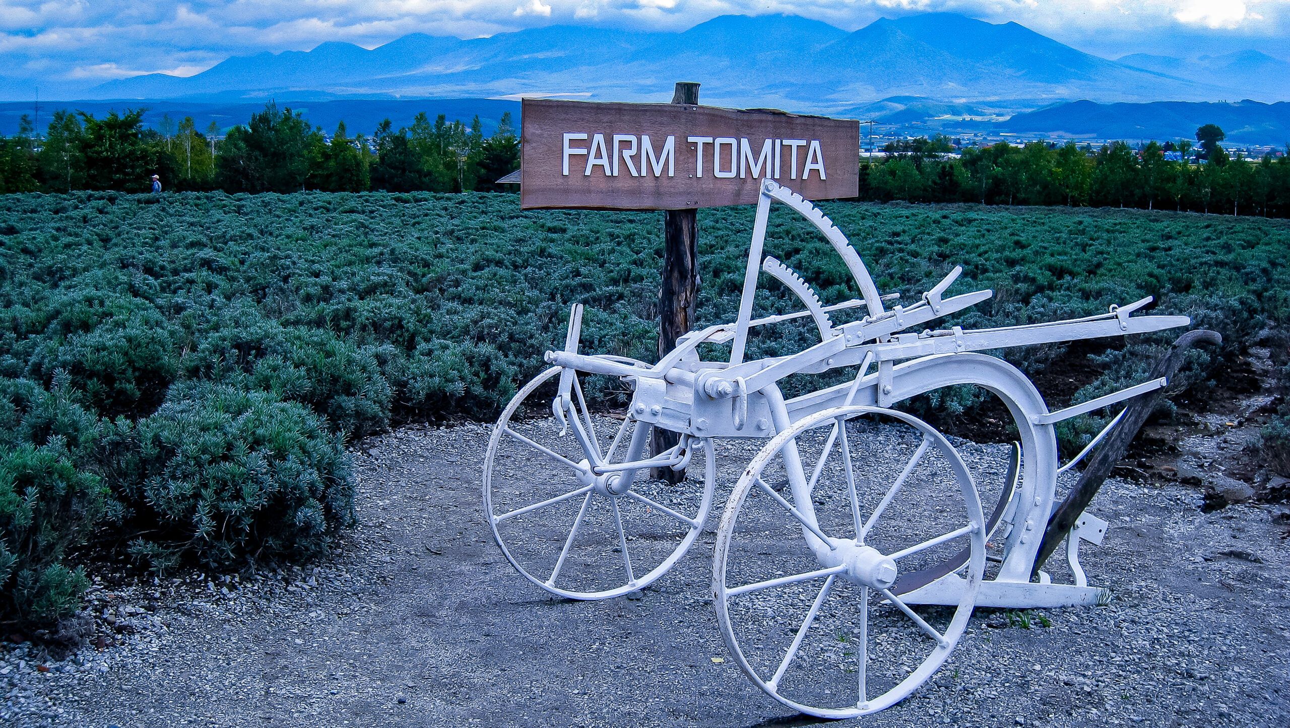 中富良野町史 上下巻 中富良野村史