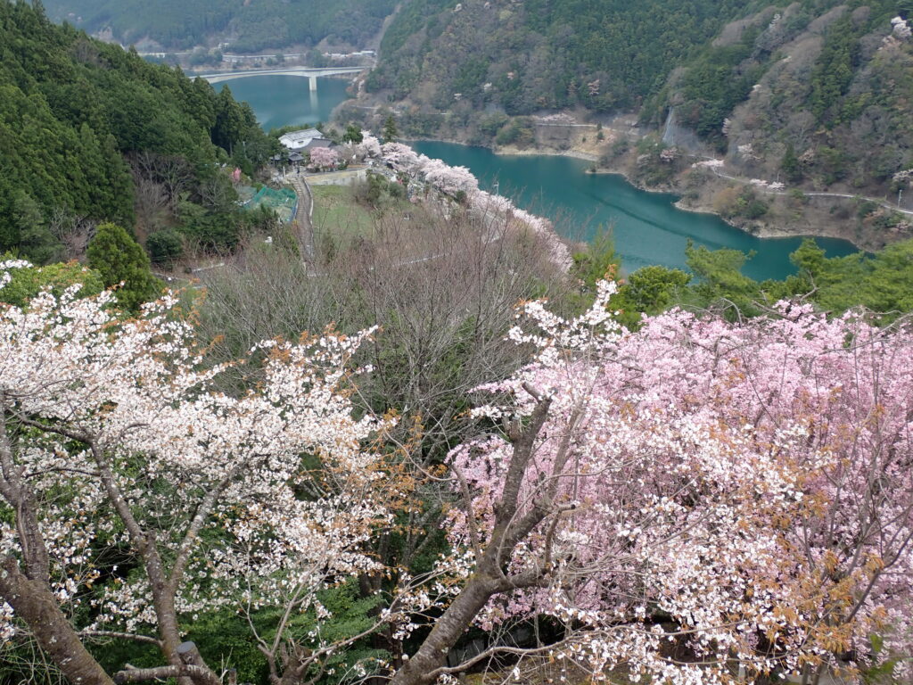 吉野杉を運んだ吉野川