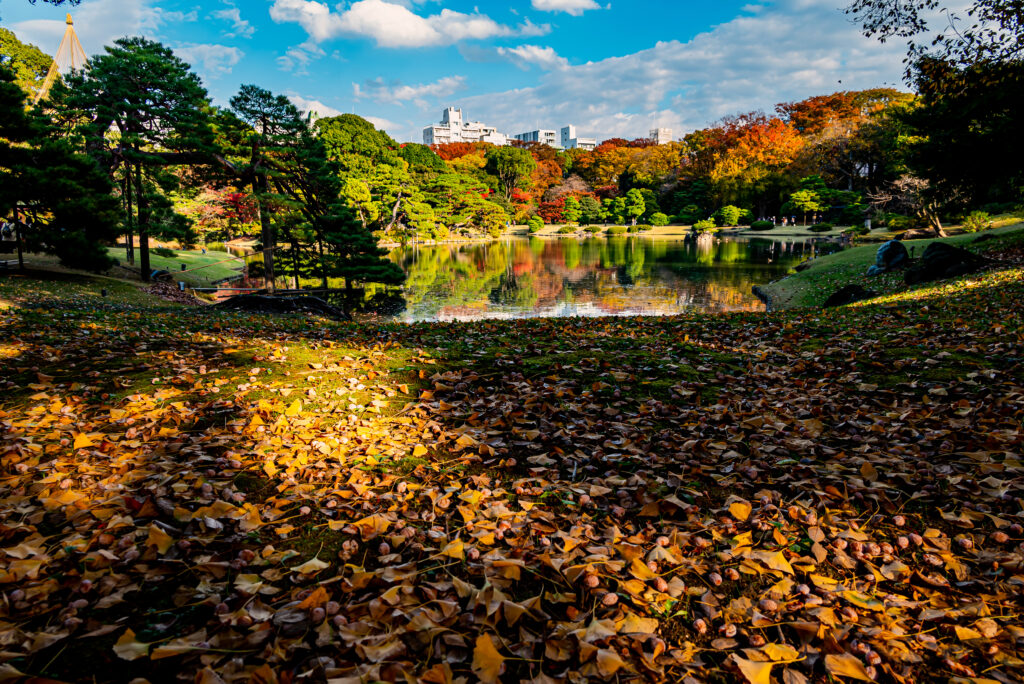 イチョウの絨毯の向こうに都会の秋が