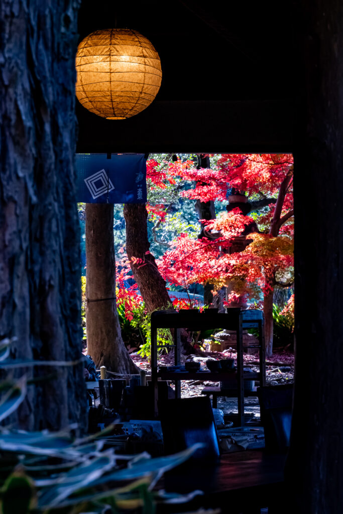 茶店の裏口から表の紅葉を愛でる