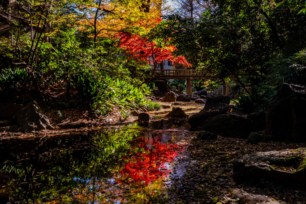 水面の赤は朝日を浴びて