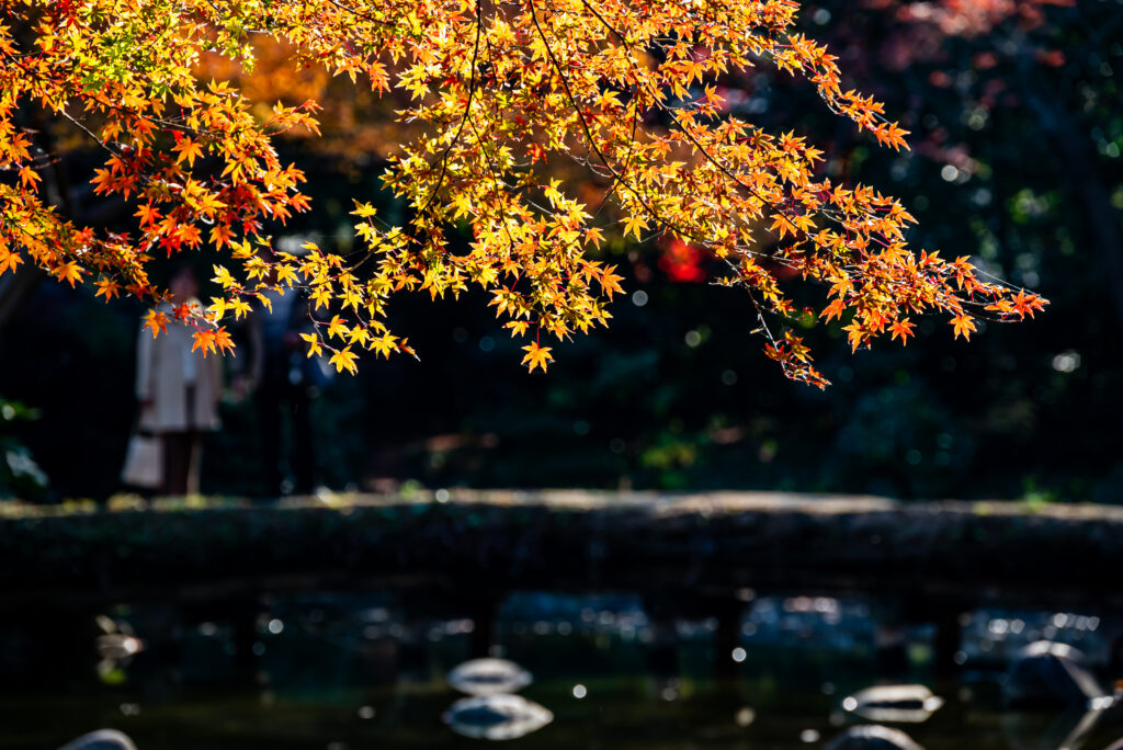 園内を歩く人々もアクセントに