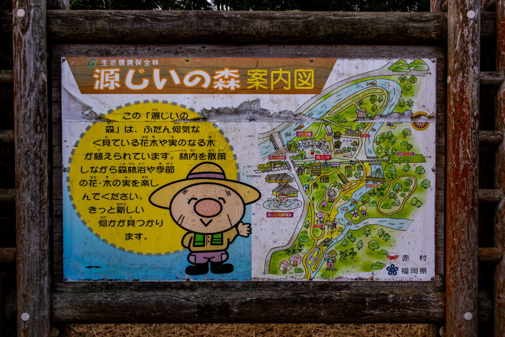 これが森の全体図だ