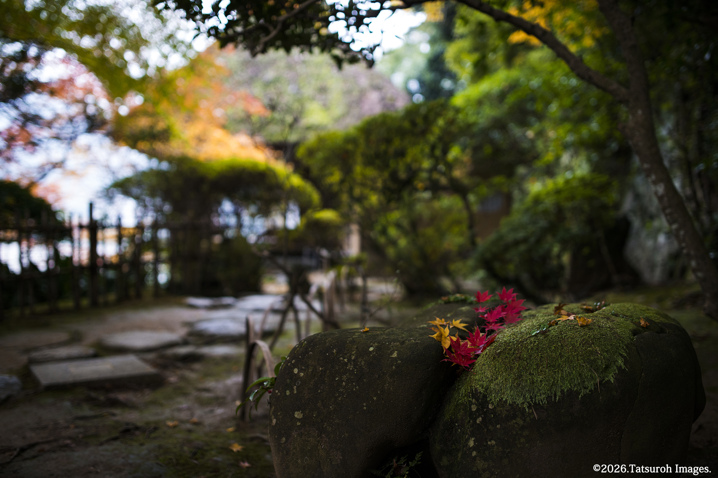 石燈籠から南側を観る