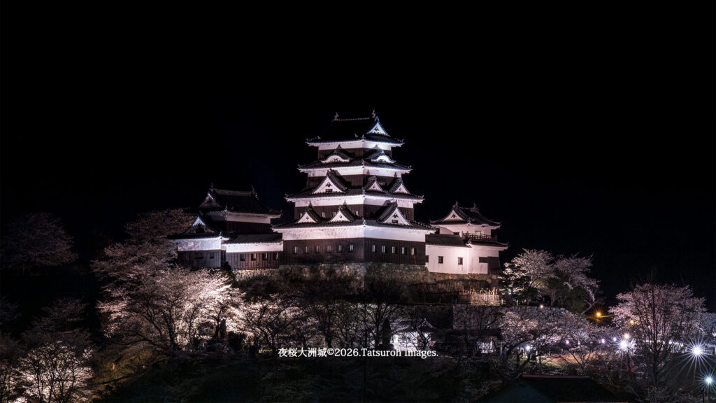 夜桜大洲城西側/2025.03.29.撮影