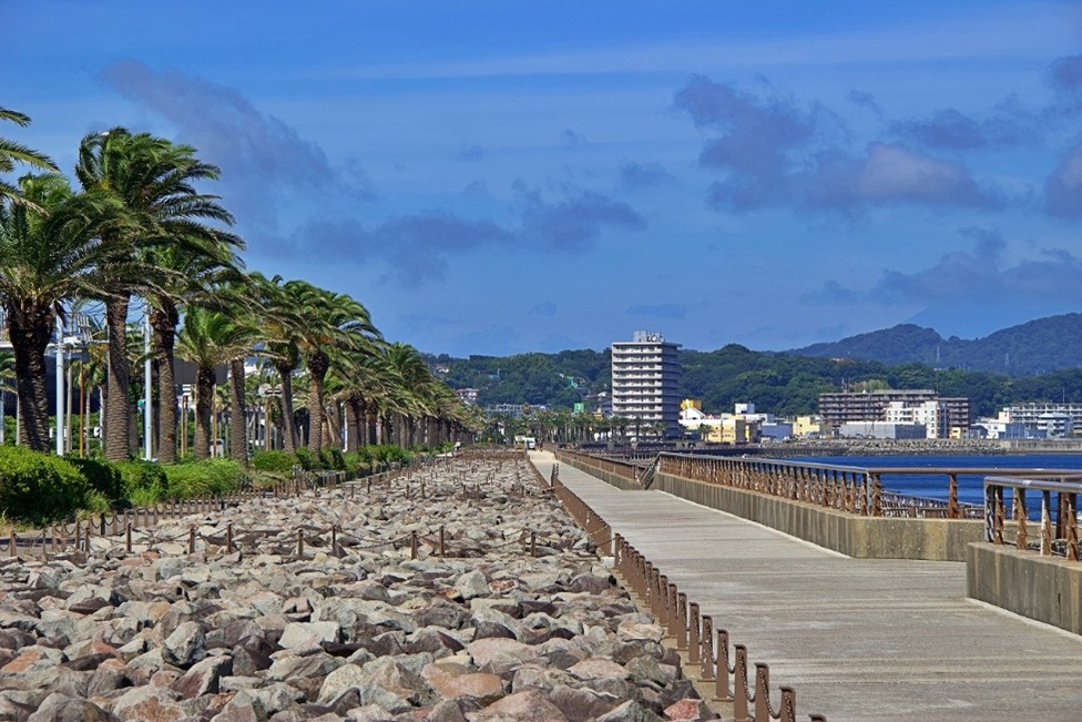 馬堀海岸遊歩道:海沿いに1.5㎞ 一直線に続く開放的なプロムナード