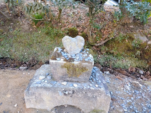 写真　著者提供