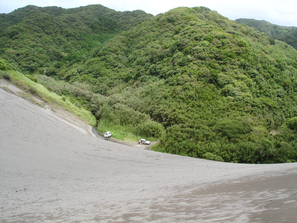 砂地に広がる自然の滑り台