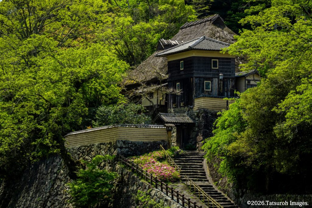 春の臥龍山荘（2022年4月20日撮影）