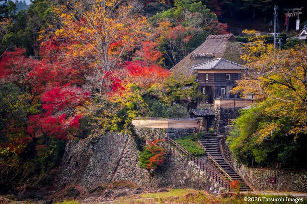 晩秋の臥龍山荘（2022年11月15日撮影）