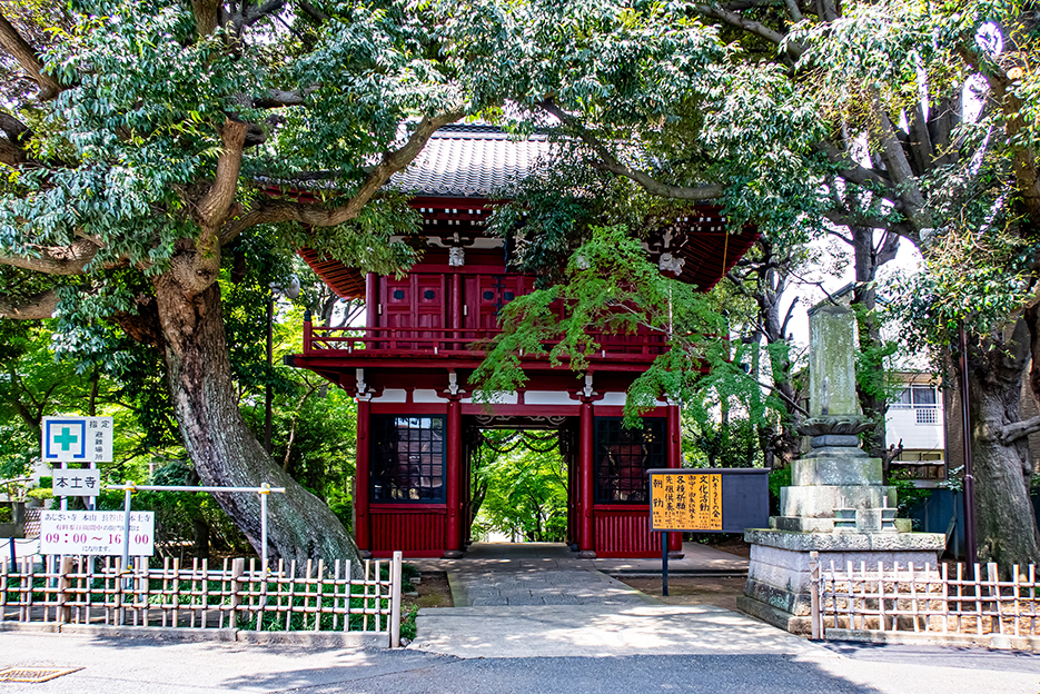赤と碧のコントラストが素晴らしい日蓮宗の名刹「本土寺」